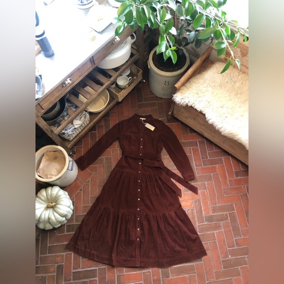 COPY - BODEN Ellen US Sz 8 Tall Rich Chestnut Corduroy Maxi-dress BNWT - Picture 2 of 9